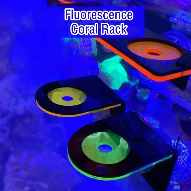 Coral Frag Plug - Fish Tank Acrylic Fluorescent Coral Brackets