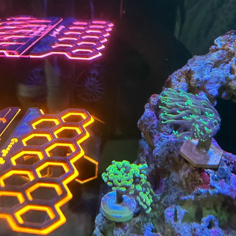 Aquarium Fluorescent Magnetic  - огляд і ціна Coral Frag Plug