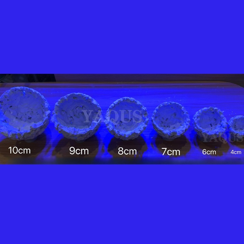 New DIY Handmade Floating Magn - огляд і ціна Coral Frag Plug