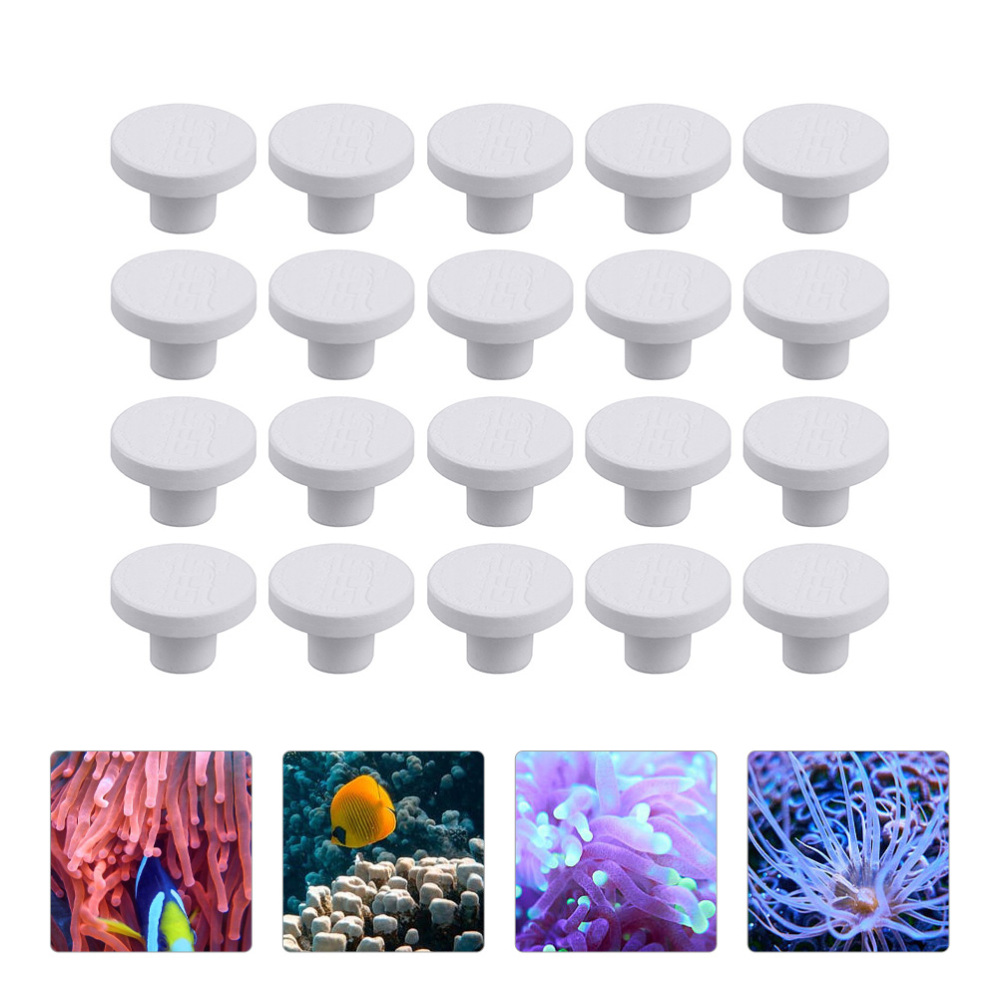 SPS Ceramic Coral Frag Plugs B - огляд і ціна Coral Frag Plug