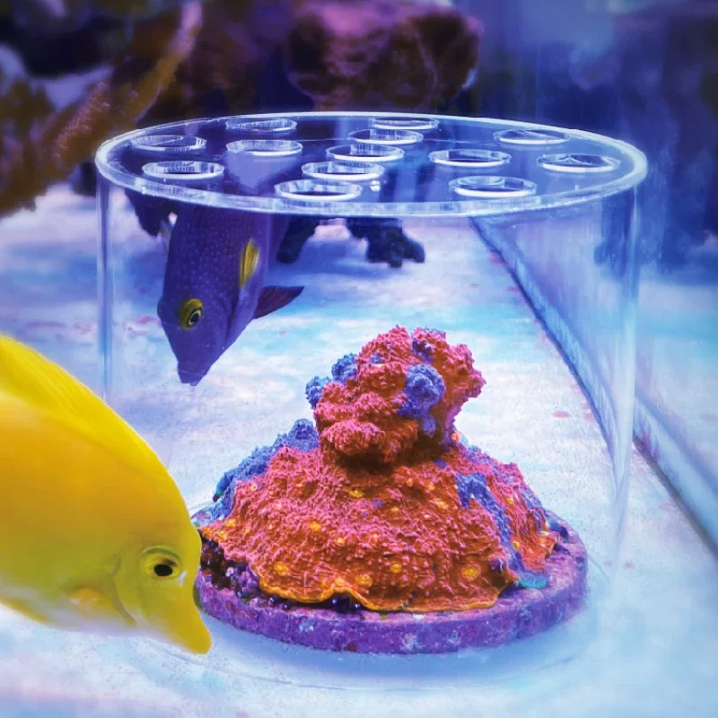 Vastocean Aquarium Arcylic Cor - огляд і ціна Coral Frag Plug
