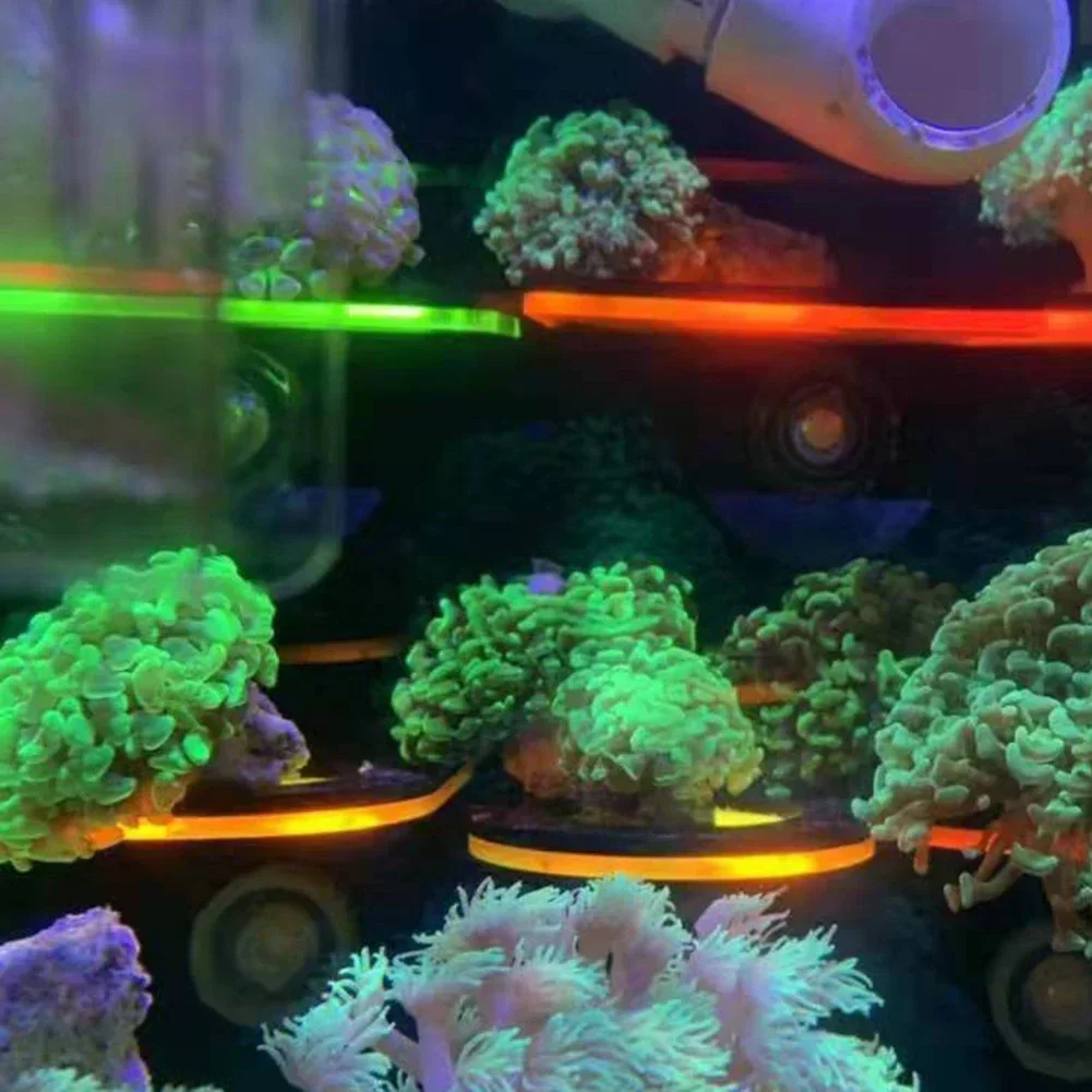 Fish Tank Acrylic Fluorescent  - огляд і ціна Coral Frag Plug