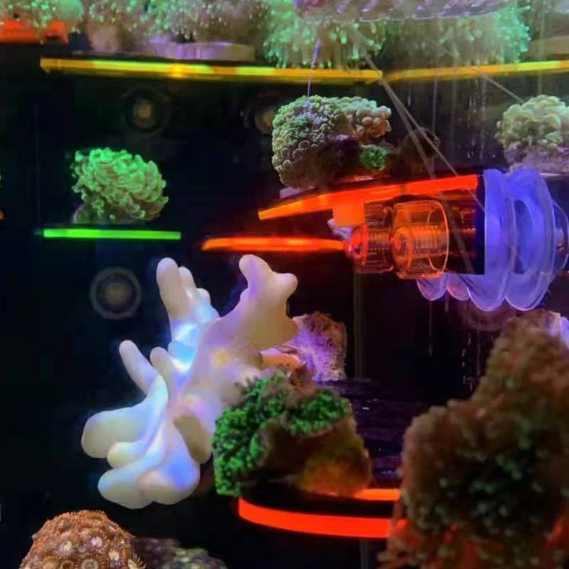 Fish Tank Acrylic Fluorescent  - огляд і ціна Coral Frag Plug