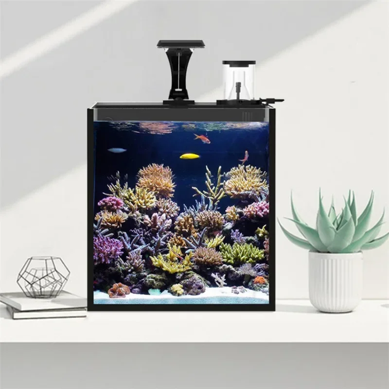 Hot sales Ultra Clear Glass Mi - огляд і ціна Aquarium Marine Fish For Sale