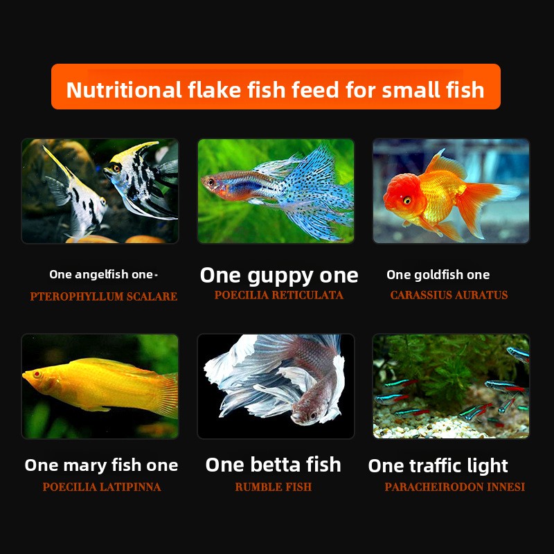 DaJiaWa Spirulina Flake Fish F - огляд і ціна Tetra Food Goldfish Flakes