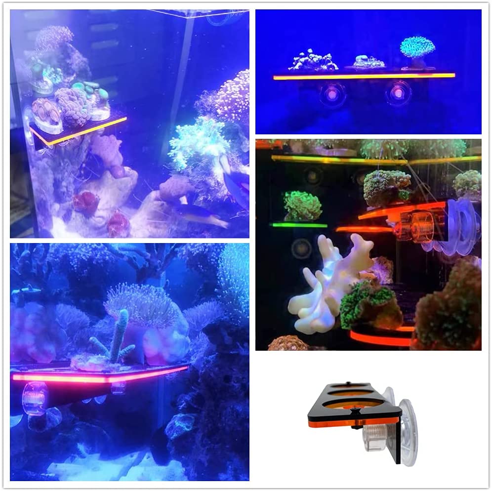 Fluorescent Coral Frag Plug Br - огляд і ціна Coral Frag Plug