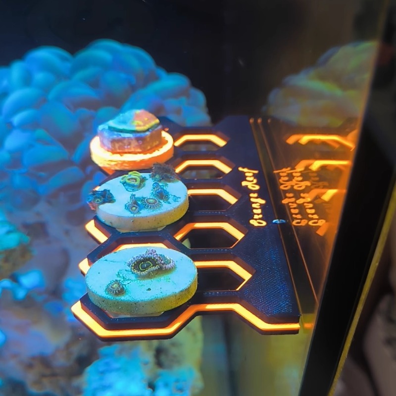 Fluorescent Magnetic Coral Fra - огляд і ціна Coral Frag Plug